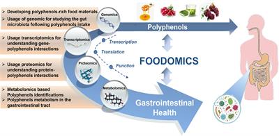 Polyphenols and gut health